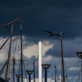 Hell-Dunkel am Flensburger Hafen