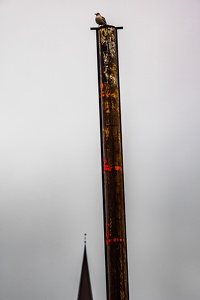 KW03-2022-1247