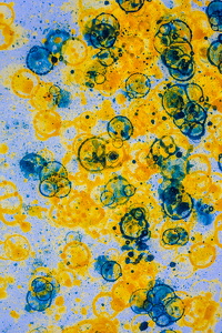 KW29-2019-328