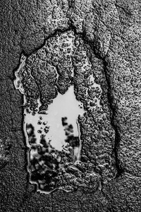 KW39-2021-1135