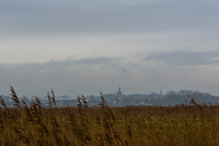 Husum Nordsee-01