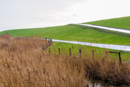 Husum Nordsee-03