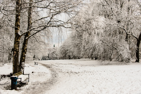 Schnee-Flensburg-16