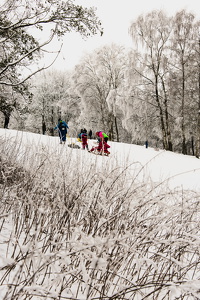 Schnee-Flensburg-17