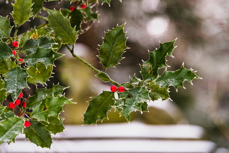 Schnee-Flensburg-18