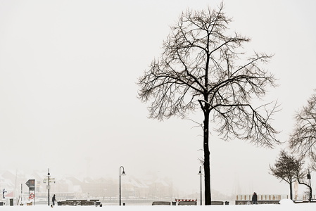 Schnee-Flensburg-22