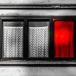 Cover-193