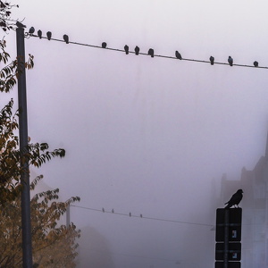 Mehr Minimalismus-025