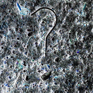 KW23-2026-2843